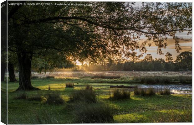 Sunrise at Bushy Park Canvas Print by Kevin White