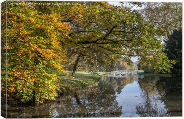 Autumn comes to Cobham Canvas Print by Kevin White