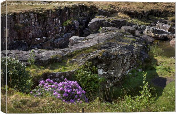 Flora and Rock Canvas Print by Kevin White