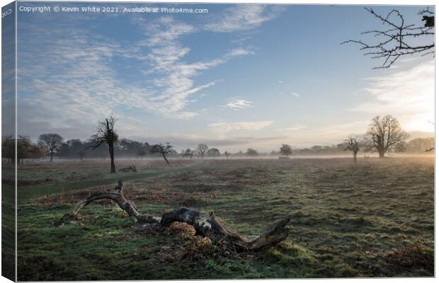 sun is rising over Bushy Park Canvas Print by Kevin White