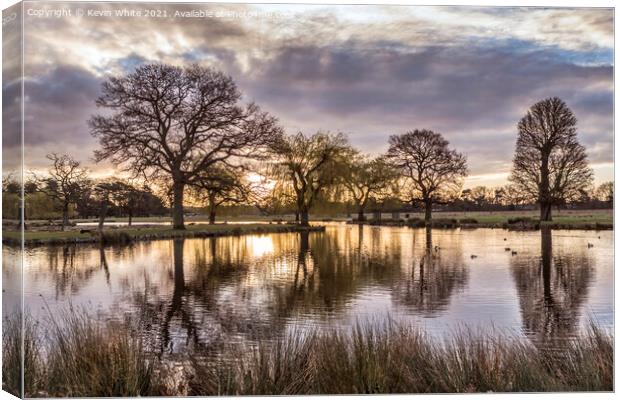 Bushy Park at sunrise in March Canvas Print by Kevin White