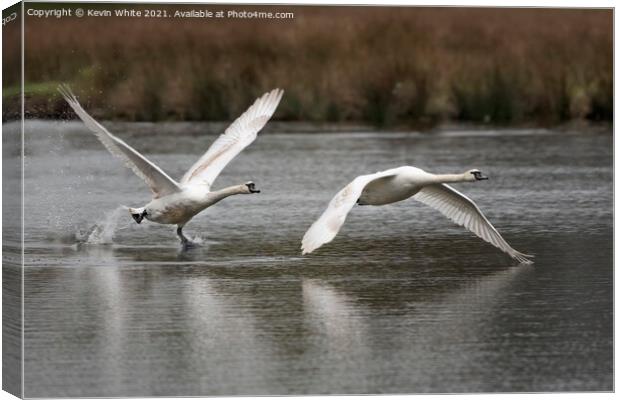 flying and walking on water Canvas Print by Kevin White