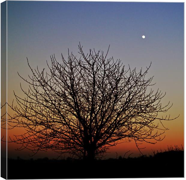 Autumn Sunset Canvas Print by steve porter