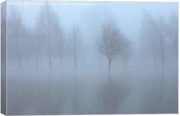 Reflected trees in flood and fog. Canvas Print by Peter Hatter