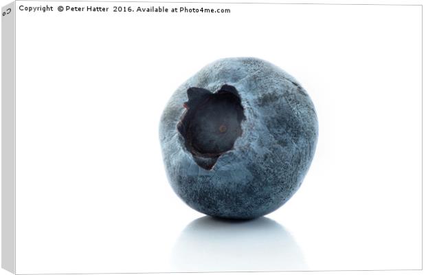 A single blueberry close up Canvas Print by Peter Hatter