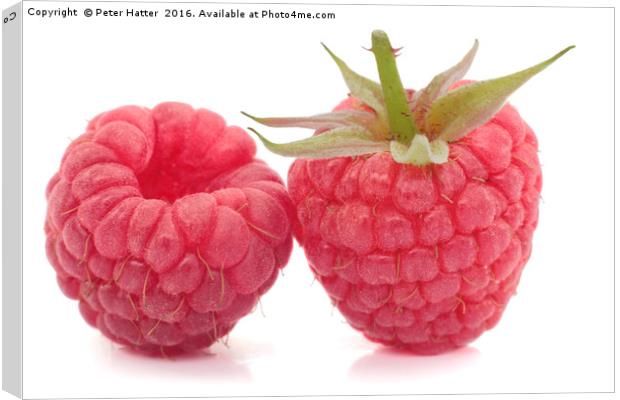 Two Raspberries Canvas Print by Peter Hatter