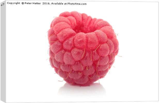 Single raspberry close up Canvas Print by Peter Hatter