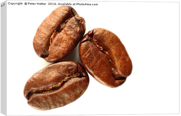 Three coffee beans close up Canvas Print by Peter Hatter