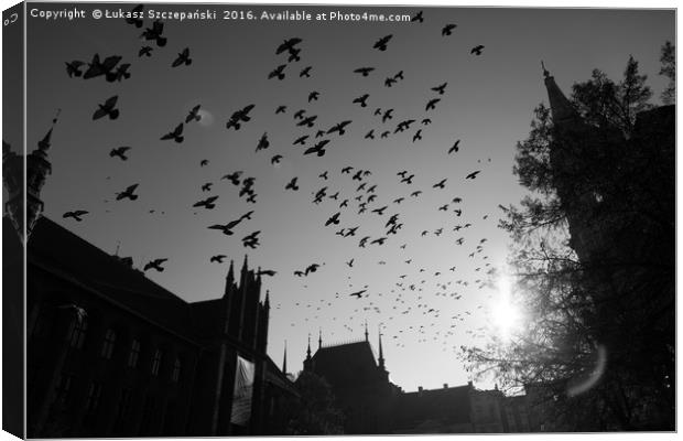 Pigeons flying over Torun city, Poland Canvas Print by Łukasz Szczepański