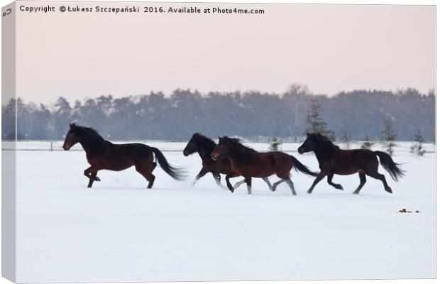 Four horses galloping on paddock covered with snow Canvas Print by Łukasz Szczepański