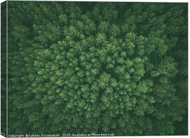 Green pine forest Canvas Print by Łukasz Szczepański