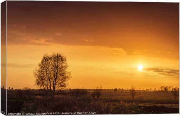 Sunset at meadow Canvas Print by Łukasz Szczepański