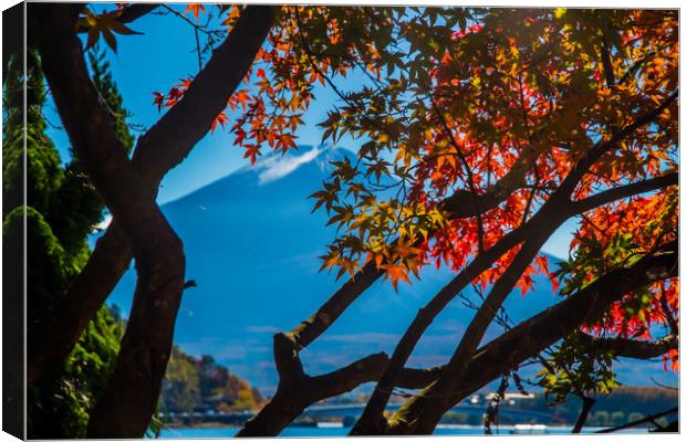 Mt Fuji and Japanese maple trees Canvas Print by Kevin Livingstone
