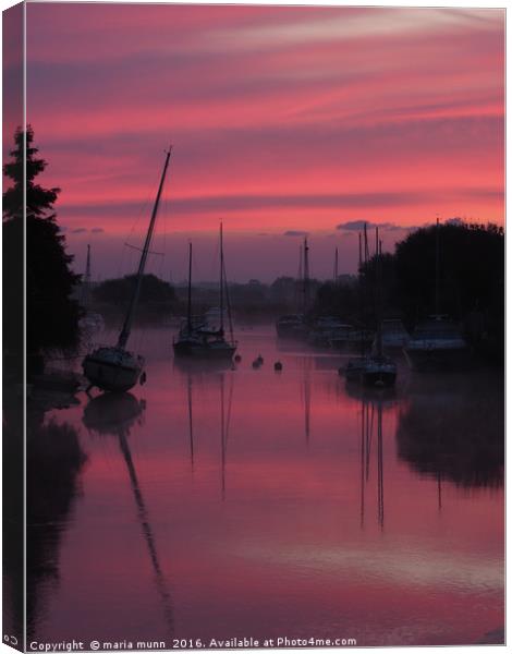 Sunrise on the River Frome at Wareham, Dorset Canvas Print by maria munn
