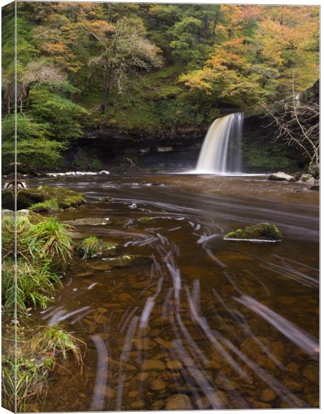 Sgwd Gwladys Canvas Print by Gerald Davies