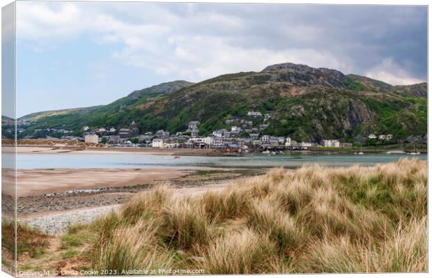 Barmouth and Dinas Oleu viewed across the River Mawddach estuary Canvas Print by Linda Cooke