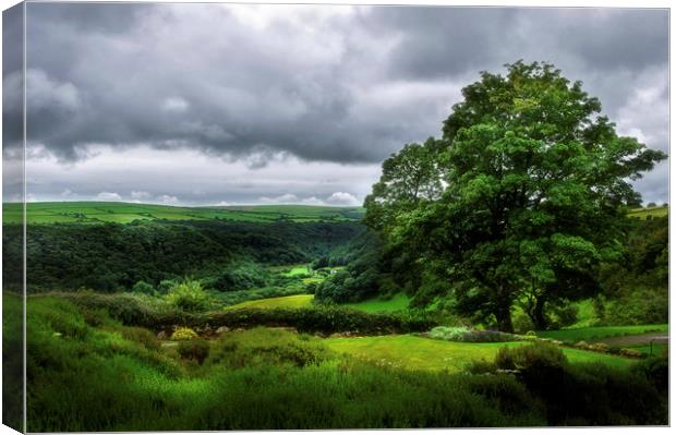 Looking over the Gwaun Valley Canvas Print by Linda Cooke
