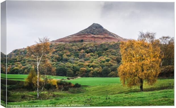 Autumn at Roseberry Topping Canvas Print by Gary Clarricoates