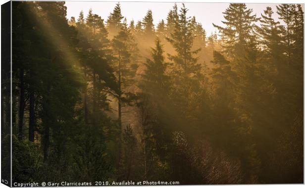 Sunbeams at Cragside Canvas Print by Gary Clarricoates