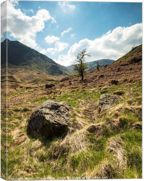 A Haweswater Tree Canvas Print by Gary Clarricoates