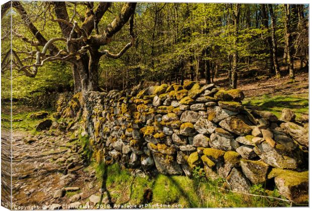 The Broken Wall Canvas Print by Gary Clarricoates