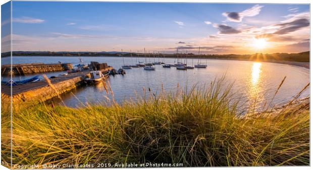 Golden Grasses at Beadnell Canvas Print by Gary Clarricoates