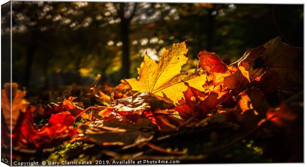 Autumn Leaves Canvas Print by Gary Clarricoates