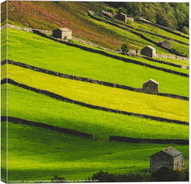 Patterns from Swaledale Canvas Print by Gary Clarricoates