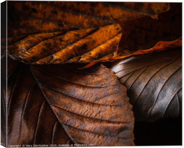 Fallen Leaves Canvas Print by Gary Clarricoates