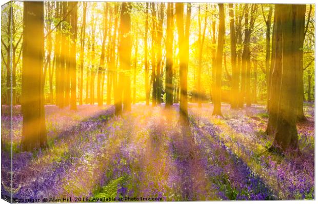 Sunshine streams through bluebell woods Canvas Print by Alan Hill