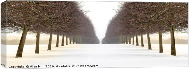 Snowy avenue of trees in winter Canvas Print by Alan Hill
