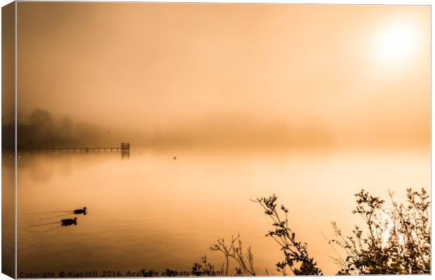 Misty early morning lake in autumn Canvas Print by Alan Hill