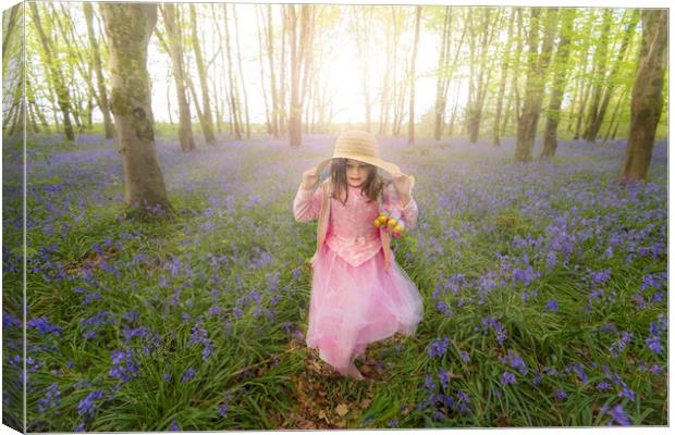 Small girl walks through bluebell woods in pink dress Canvas Print by Alan Hill
