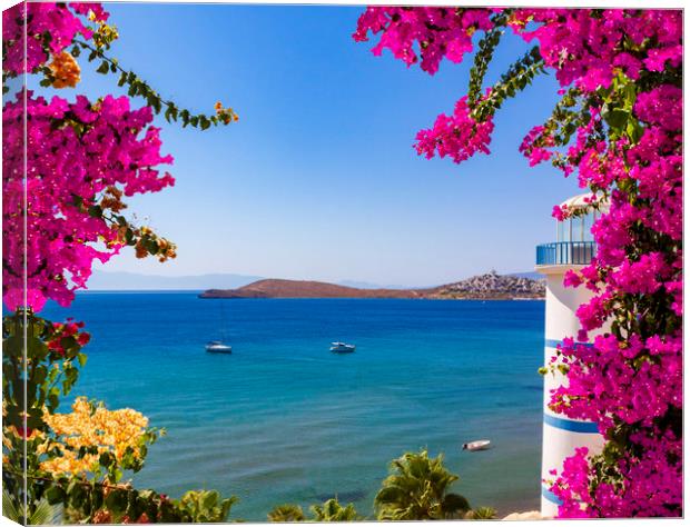 Beautiful pink and purple flowers frame a sea view in Ortakent,  Canvas Print by Alan Hill