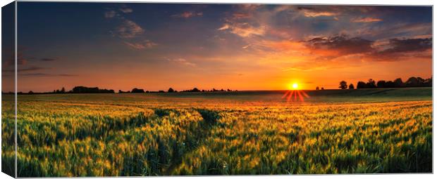 Sunset over a wheat field in Northamptonshire Canvas Print by Alan Hill