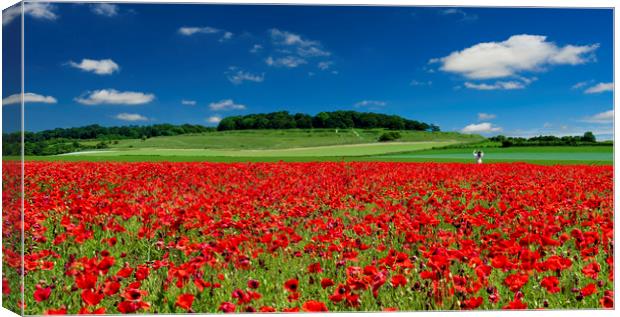Girl in a field of red poppies at Badbury Rings Canvas Print by Alan Hill