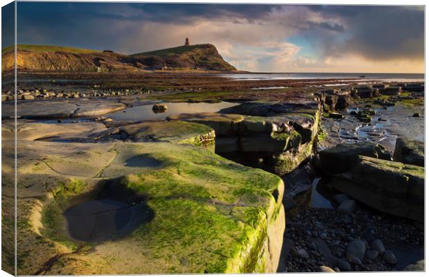 Golden hour at Kimmeridge on the Dorset Coast Canvas Print by Alan Hill
