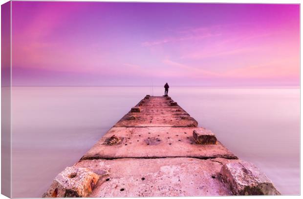 Stone jetty and calm seas Canvas Print by Alan Hill
