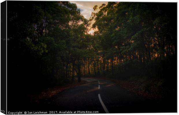 Winding wet road into forrest Canvas Print by Ian Leishman