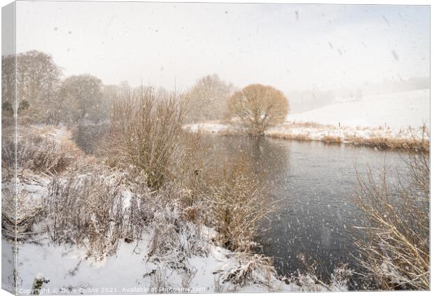 Falling snow over the Teviot River in the Scottish Borders, UK Canvas Print by Dave Collins