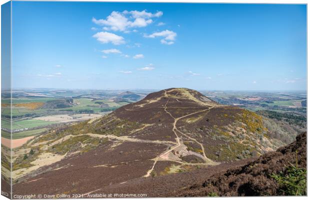 West Side Path up Eildon Hill North from the top of Eildon Mid Hill, Scottish Borders, UK Canvas Print by Dave Collins