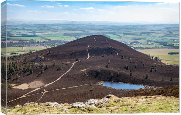 Eildon Wester Hill from the top of Eildon Mid Hill in the Scottish Borders Canvas Print by Dave Collins