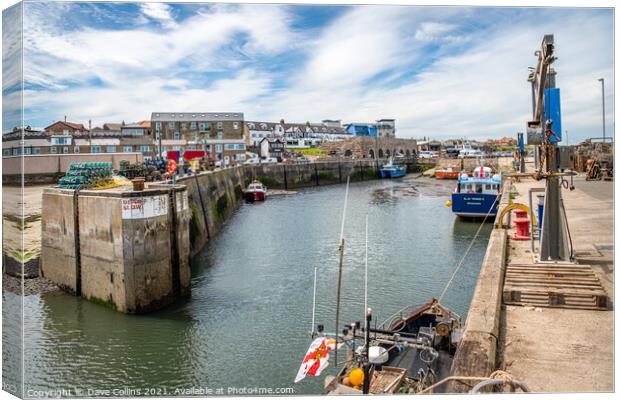Boats Docked in Seahouses Harbour, Northumberland Canvas Print by Dave Collins