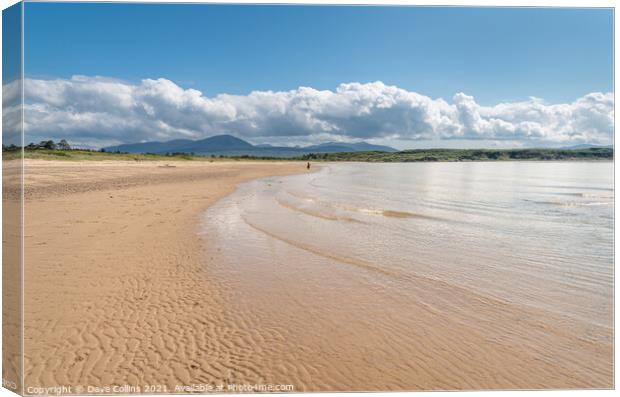 Looking east on Carradale Bay Beach in Argyll and Bute, Scotland Canvas Print by Dave Collins