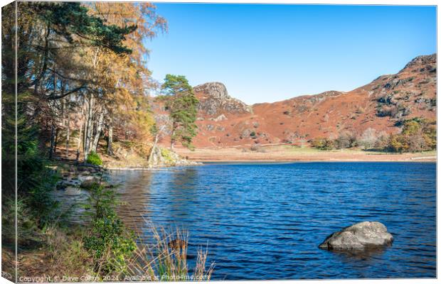 Outdoor Blea Tarn in the Langdales hanging Valley in the Lake District Canvas Print by Dave Collins