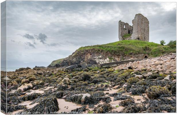 The remains of Minard Castle from Minard Beach, County Kerry, Ireland Canvas Print by Dave Collins