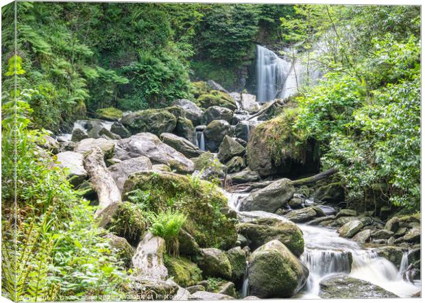 Torc Waterfall in  Killarney National Park in County Kerry, Ireland Canvas Print by Dave Collins