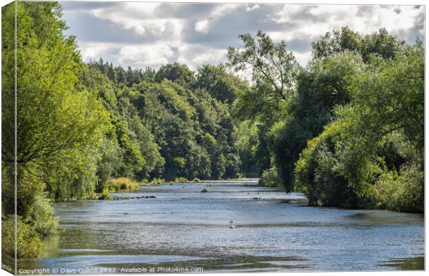 The River Teviot near Roxburgh Canvas Print by Dave Collins