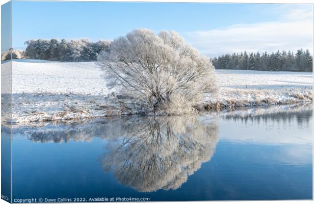 Reflections of snow covered trees in the River Teviot, Scottish Borders, United Kingdom Canvas Print by Dave Collins