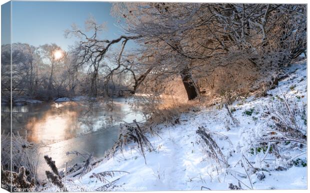Sunrise over the River Teviot after snow in the Scottish Borders Canvas Print by Dave Collins
